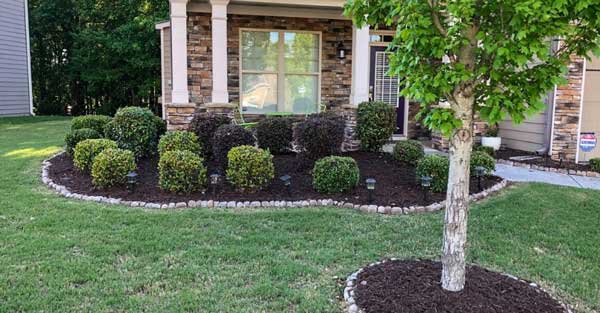 Mulch Bed Maintenance Clarksville