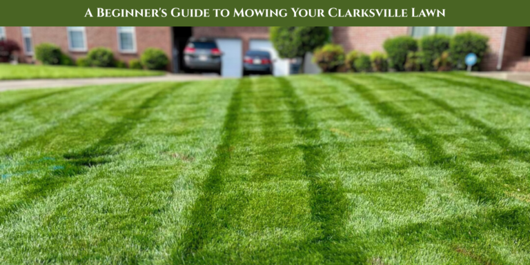 clarksville lawn mowing