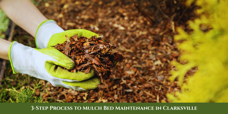mulch bed maintenance clarksville